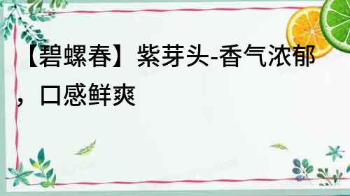 【碧螺春】紫芽頭-香氣濃郁，口感鮮爽