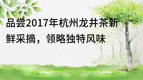 品嘗2017年杭州龍井茶新鮮采摘，領略獨特風味
