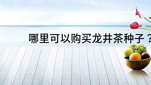 哪里可以購(gòu)買龍井茶種子？