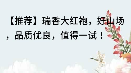 【推薦】瑞香大紅袍,好山場,品質優(yōu)良,值得一試!