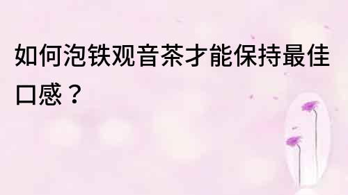 如何泡鐵觀音茶才能保持最佳口感？