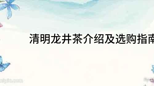 清明龍井茶介紹及選購指南