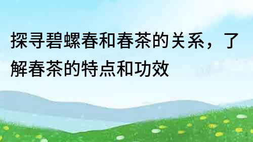 探尋碧螺春和春茶的關(guān)系，了解春茶的特點(diǎn)和功效
