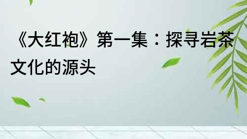 《大紅袍》第一集：探尋巖茶文化的源頭