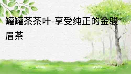 罐罐茶茶葉-享受純正的金駿眉茶