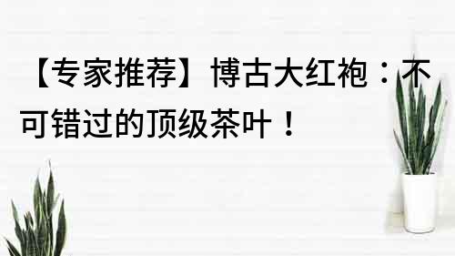 【專家推薦】博古大紅袍：不可錯過的頂級茶葉！