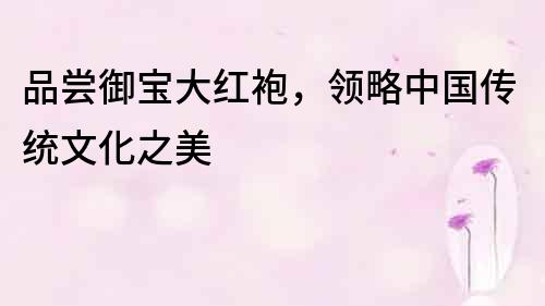 品嘗御寶大紅袍，領略中國傳統文化之美
