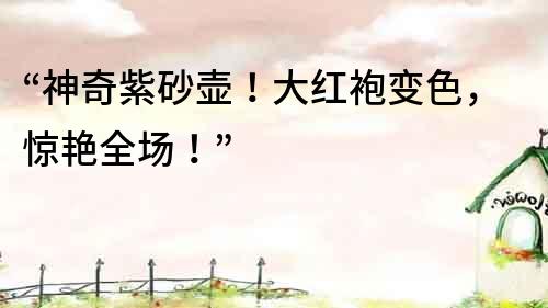 “神奇紫砂壺！大紅袍變色，驚艷全場！”