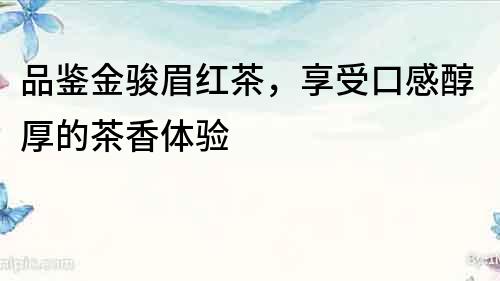 品鑒金駿眉紅茶，享受口感醇厚的茶香體驗