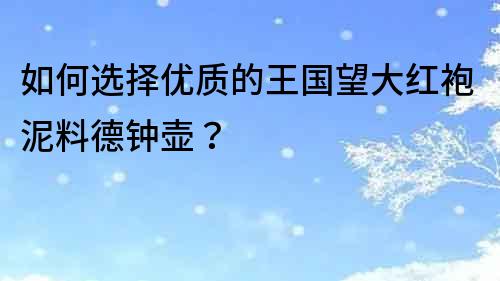 如何選擇優質的王國望大紅袍泥料德鐘壺？