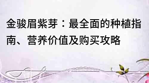 金駿眉紫芽：最全面的種植指南、營養價值及購買攻略