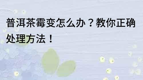 普洱茶霉變怎么辦？教你正確處理方法！