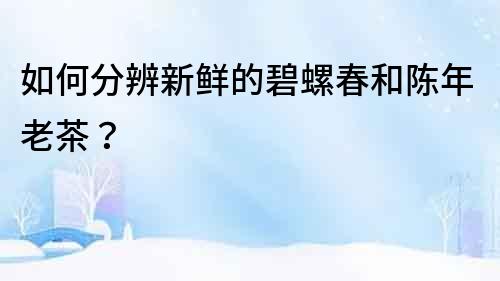 如何分辨新鮮的碧螺春和陳年老茶？