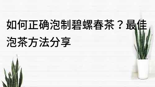 如何正確泡制碧螺春茶？最佳泡茶方法分享