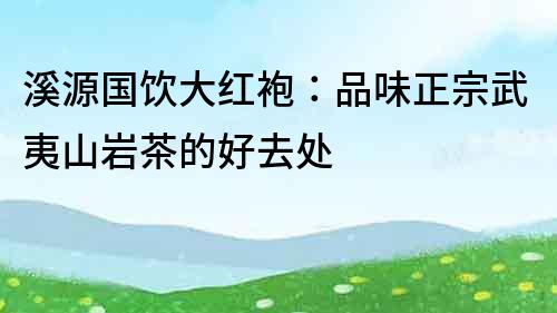 溪源國(guó)飲大紅袍：品味正宗武夷山巖茶的好去處
