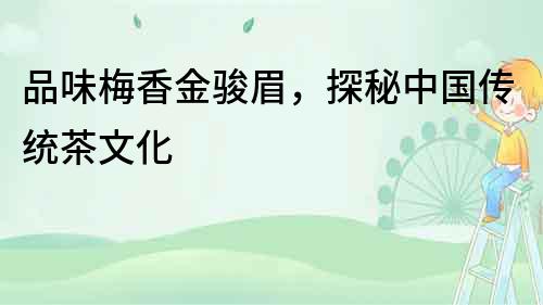 品味梅香金駿眉，探秘中國傳統茶文化