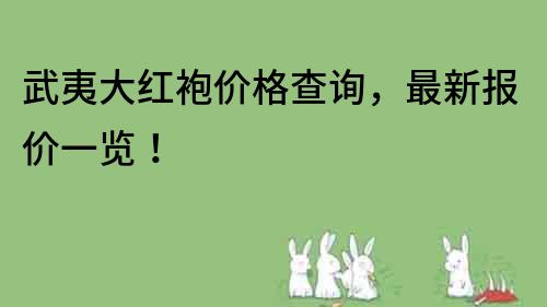 武夷大紅袍價格查詢，最新報價一覽！