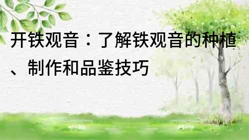 開鐵觀音：了解鐵觀音的種植、制作和品鑒技巧