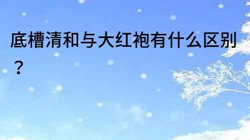 底槽清和與大紅袍有什么區別？