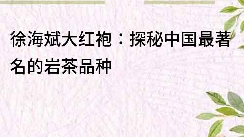 徐海斌大紅袍：探秘中國(guó)最著名的巖茶品種
