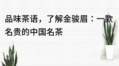 品味茶語，了解金駿眉：一款名貴的中國名茶