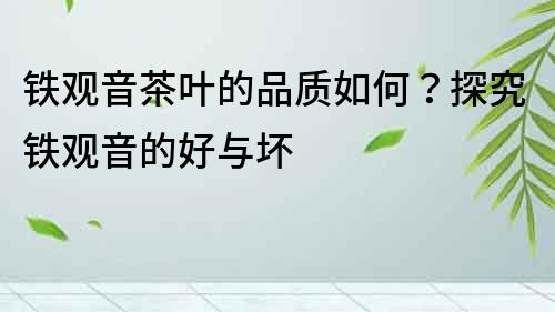 鐵觀音茶葉的品質如何？探究鐵觀音的好與壞