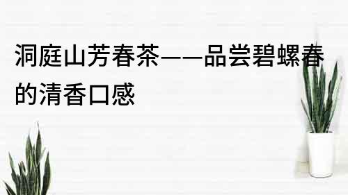洞庭山芳春茶——品嘗碧螺春的清香口感