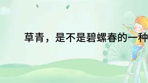 草青，是不是碧螺春的一種？