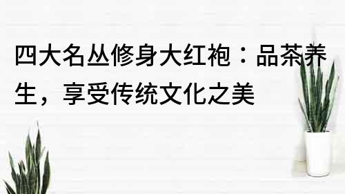 四大名叢修身大紅袍：品茶養(yǎng)生，享受傳統(tǒng)文化之美
