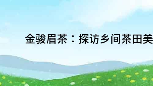 金駿眉茶：探訪鄉間茶田美景