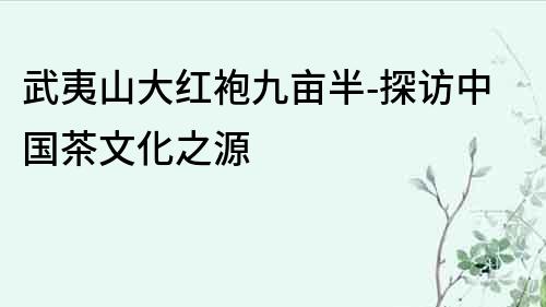 武夷山大紅袍九畝半-探訪中國茶文化之源