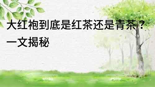 大紅袍到底是紅茶還是青茶？一文揭秘