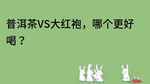 普洱茶VS大紅袍，哪個更好喝？