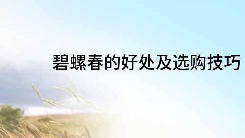 碧螺春的好處及選購技巧