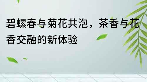 碧螺春與菊花共泡，茶香與花香交融的新體驗