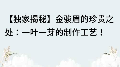 【獨家揭秘】金駿眉的珍貴之處：一葉一芽的制作工藝！