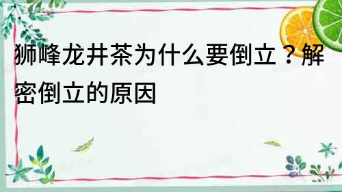 獅峰龍井茶為什么要倒立？解密倒立的原因