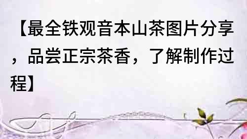 【最全鐵觀音本山茶圖片分享，品嘗正宗茶香，了解制作過程】