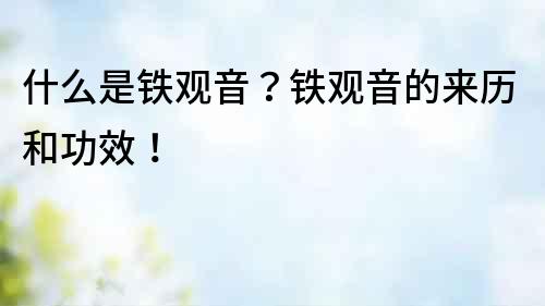 什么是鐵觀音？鐵觀音的來(lái)歷和功效！