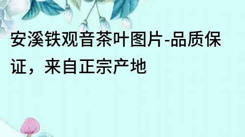 安溪鐵觀音茶葉圖片-品質(zhì)保證，來自正宗產(chǎn)地