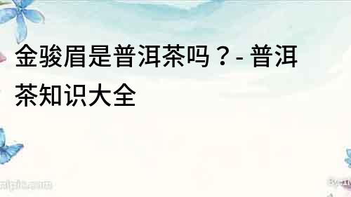 金駿眉是普洱茶嗎？- 普洱茶知識大全