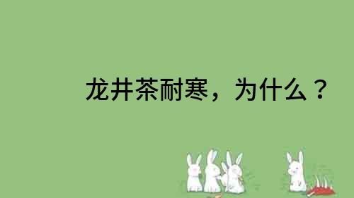 龍井茶耐寒，為什么？