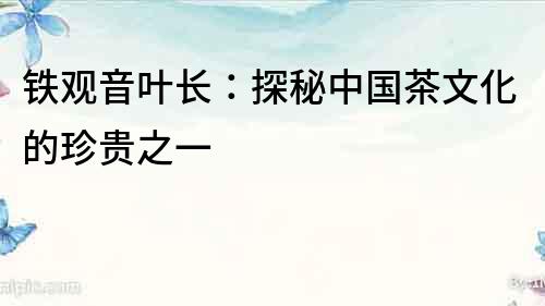 鐵觀音葉長：探秘中國茶文化的珍貴之一