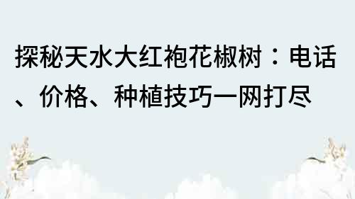 探秘天水大紅袍花椒樹：電話、價格、種植技巧一網打盡
