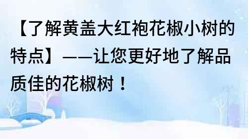 【了解黃蓋大紅袍花椒小樹的特點】——讓您更好地了解品質佳的花椒樹！