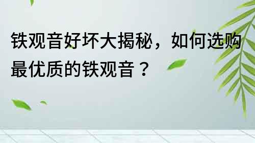 鐵觀音好壞大揭秘，如何選購最優質的鐵觀音？