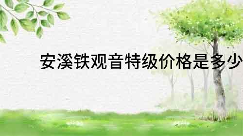 安溪鐵觀音特級價格是多少？