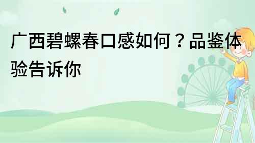 廣西碧螺春口感如何？品鑒體驗告訴你