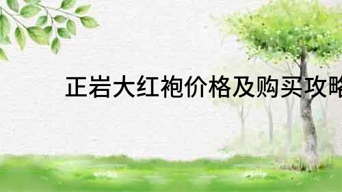正巖大紅袍價格及購買攻略