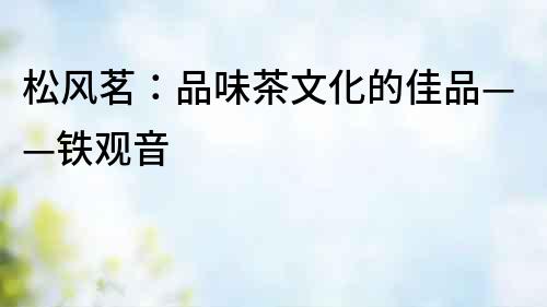松風茗：品味茶文化的佳品——鐵觀音